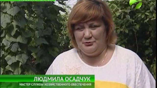 Цитрусовые на Крайнем Севере – это реально! смотреть онлайн