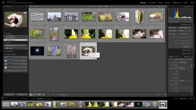 Обзор макро-сотки SMC PENTAX-DFA MACRO 1:2.8 100mm WR смотреть онлайн