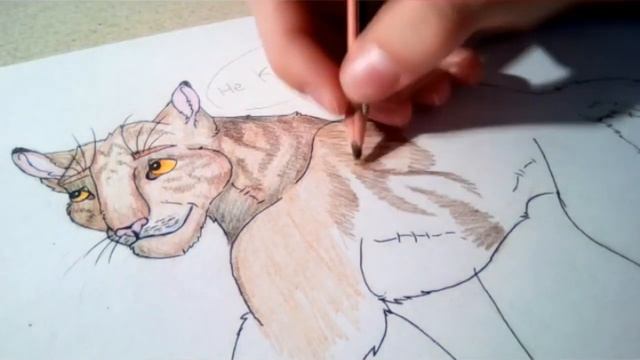 КОТЫ ВОИТЕЛИ | ИНТЕРАКТИВ - 11. Игра "КАРТИНКИ" смотреть онлайн