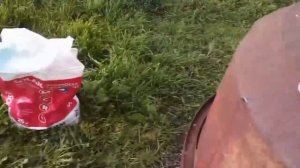 Начинаем обработки клубники!Железо в корень, сульфат магния, Актелик,Скор, Тренер,листовая подкормк