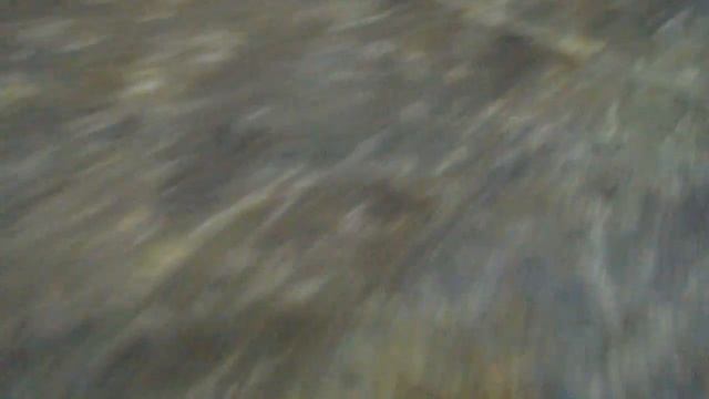 Коробка № АА1109 - Кожа Фантазия КРС, целые шкуры