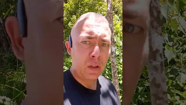 О рабочих визах в Сингапур. Важная заметка на память - приехал из Марокко готовить шаверму. смотреть онлайн