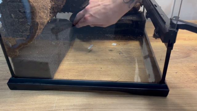 How To Build A Paludarium Step By Step (2023) смотреть онлайн