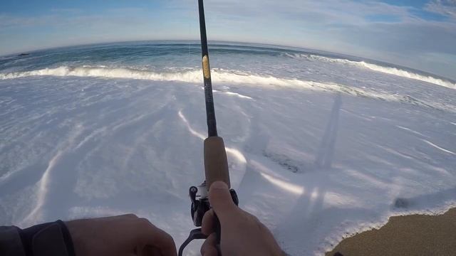 Surfperch Fishing surfcasting смотреть онлайн