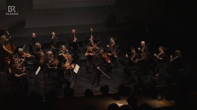VC Young Artist Diyang Mei | Stamitz Viola Concerto | ARD Viola Competition смотреть онлайн