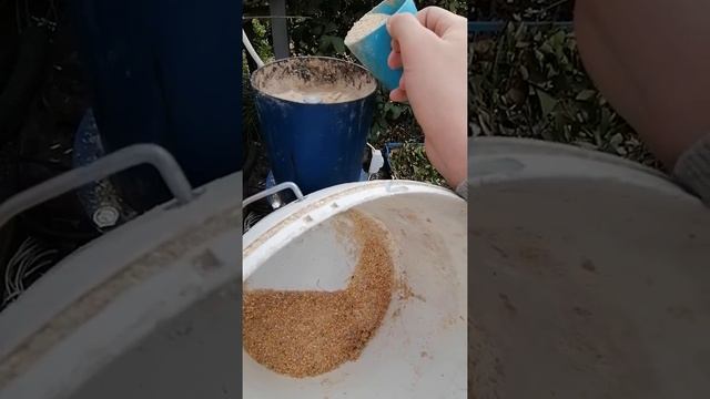 ГРАНУЛЫ ДЛЯ КРОЛИКОВ??? смотреть онлайн