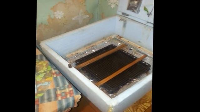 Инкубатор своими руками // Самый простой и надежный инкубатор //ПРОЩЕ НЕКУДА// Мой второй инкубато смотреть онлайн
