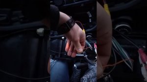 Подключение камеры заднего вида, на KIA RIO X-Line, Проблема с подключением.