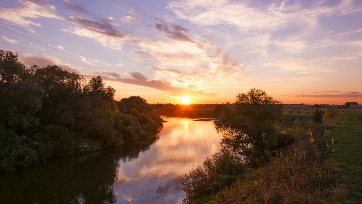 Встреча смотреть онлайн