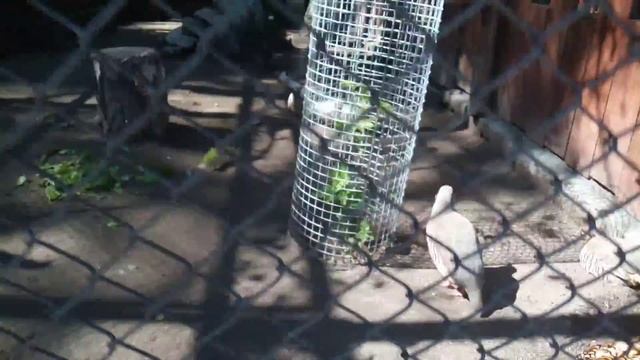 Влог из роева ручья смотреть онлайн