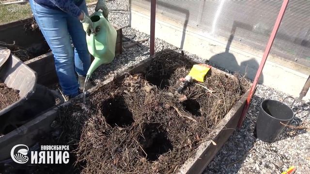 Теплая грядка - как устроить. смотреть онлайн