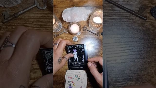 ~ MOON WITCH ORACLE ~ смотреть онлайн