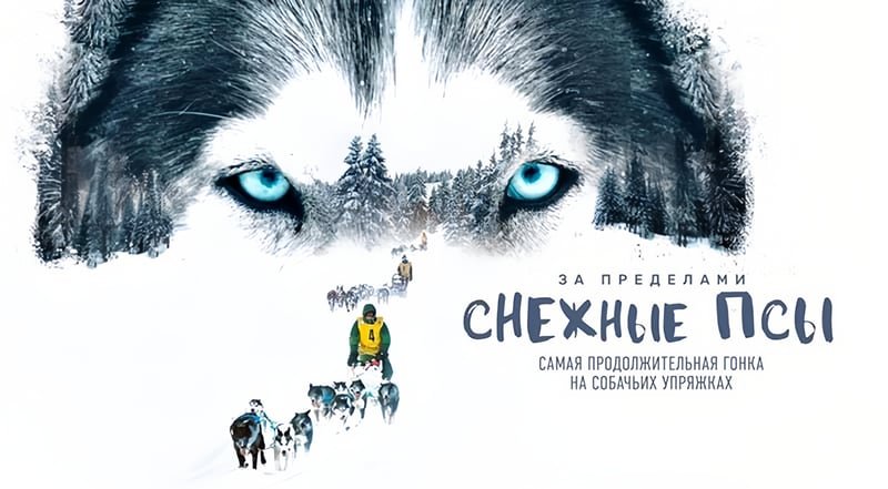 За пределами. Снежные псы (2023) трейлер смотреть онлайн