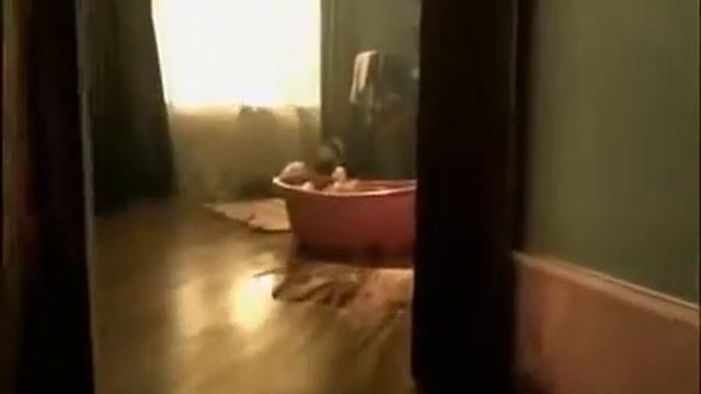Ламинированный паркет Tarkett смотреть онлайн
