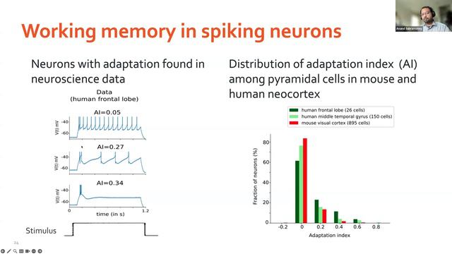ActInf MorphStream 003.1 ~ Anand Subramoney "Principles of scalability and biological inspirations" смотреть онлайн