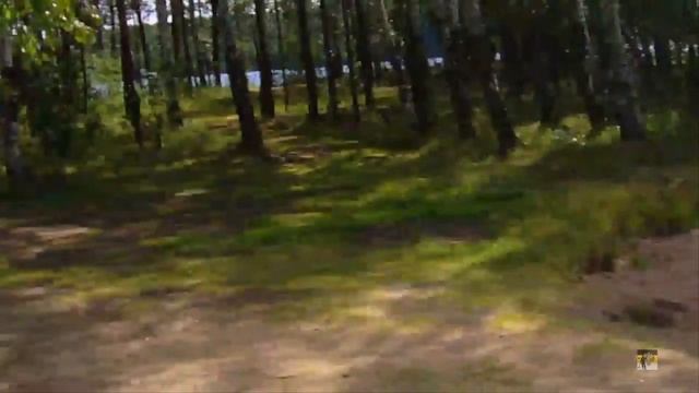 В поисках сома- Рефтинское водохранилище База "Золотая рыбка" смотреть онлайн