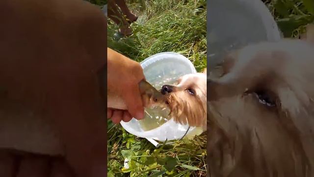 Я люблю целовать рыбок !может быть хоть одна исполнит мои желания ! смотреть онлайн