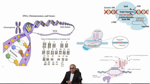 Next Gen HIV therapies powered by Genomics. Understand the technologies enabling Next Gen Therapies смотреть онлайн