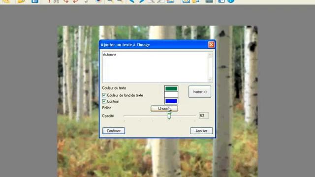Ajouter du texte à une image dans XnView смотреть онлайн
