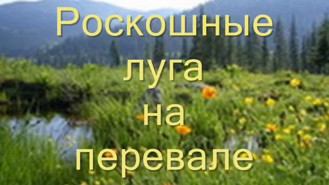 Туризм - одно из моих увлечений смотреть онлайн