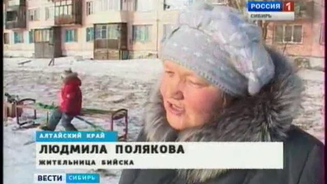 Стая лебедей прилетела в Бийск смотреть онлайн