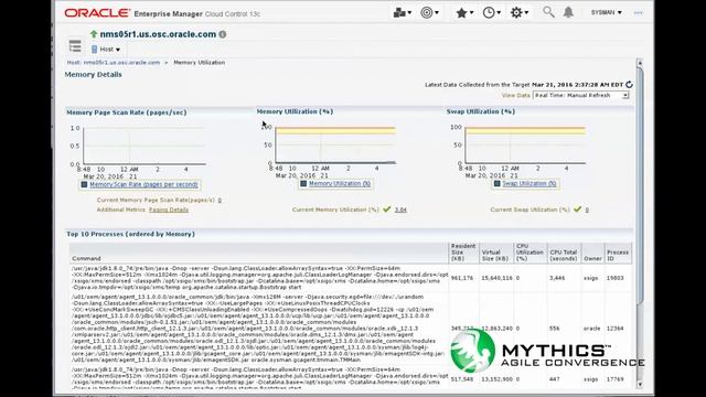 Oracle NETRA Modular System (NMS) - Using OEM13c for HOST OS Management смотреть онлайн