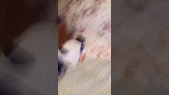 Татів сон . Класна штука коли тато спить