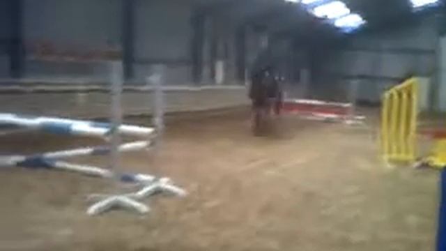 coco le cheval ( radisson x joost x abgar ) смотреть онлайн