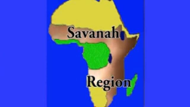 THE SAVANNA REGION смотреть онлайн