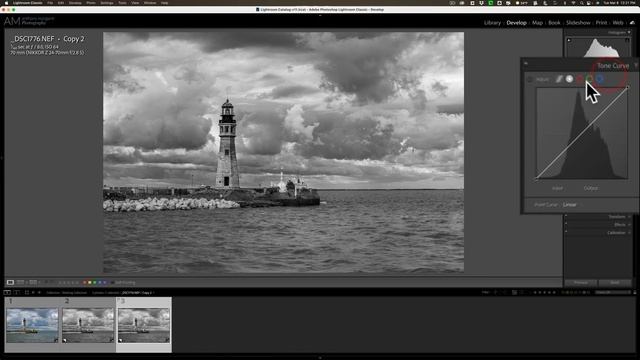 The ULTIMATE GUIDE to VIRTUAL COPIES in Lightroom смотреть онлайн