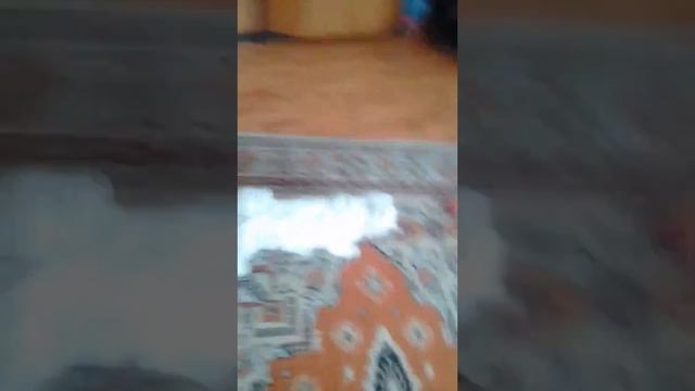 2 серия про собаку Леона смотреть онлайн