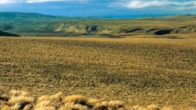 DELTA DEL PARANA, LOMADAS ENTRERRIANAS Y PAMPA ALTA documental смотреть онлайн