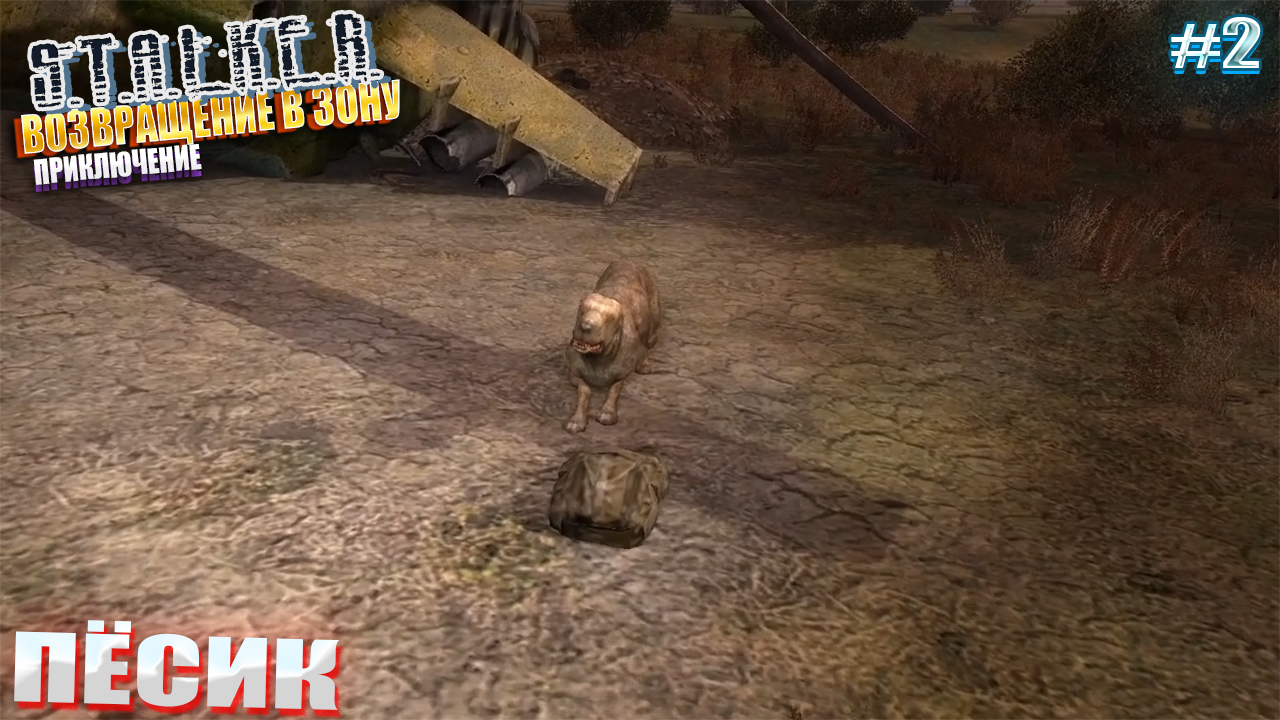 ПЁСИК | ВОЗВРАЩЕНИЕ В ЗОНУ - ПРИКЛЮЧЕНИЕ | Серия 2 смотреть онлайн