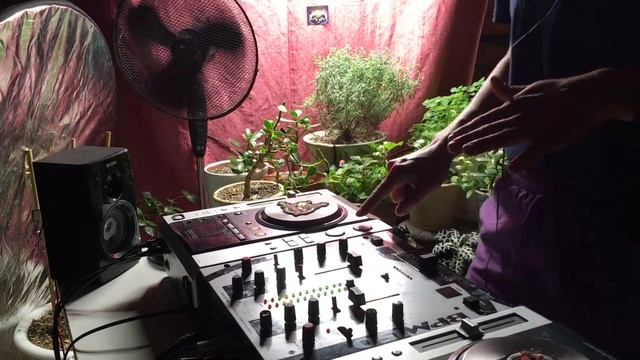 ДЖАНГЛ_ Вайб_Танцы_❤️