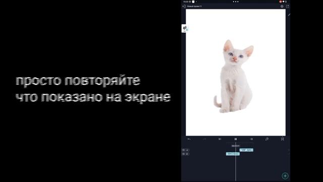 // туториал на анимации в алайт моушен// 2 часть завтра // смотреть онлайн