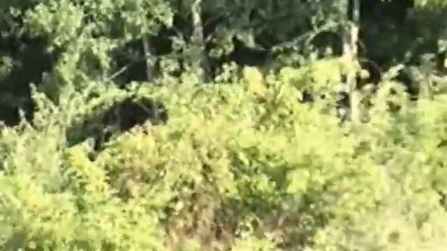 Paint Ball Chapter 4 смотреть онлайн