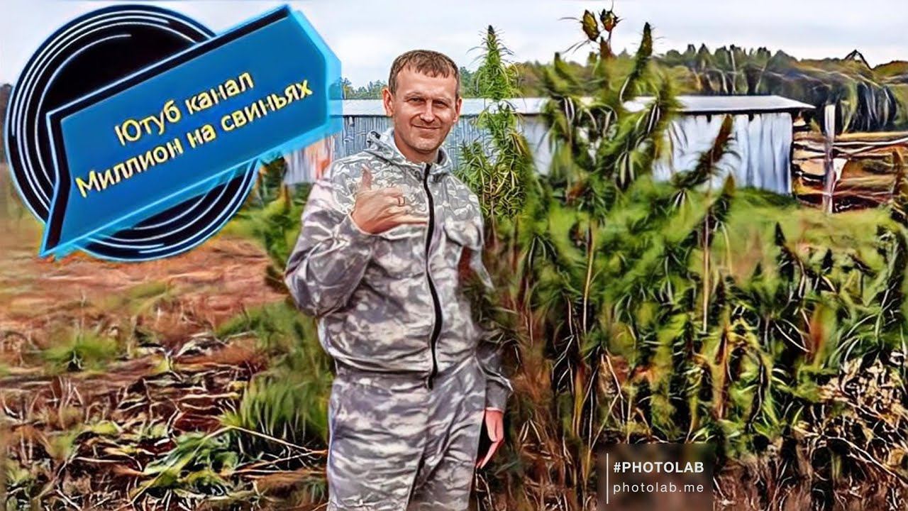 Как мы ездили зелёную траву покупать для наших бычков. смотреть онлайн