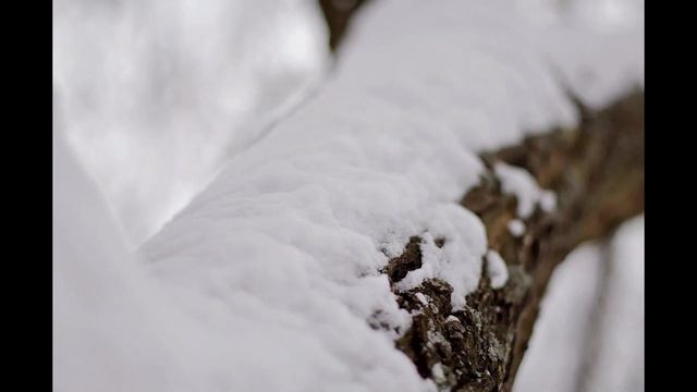 Продам объектив Nikkor 50mm f/1.4G AF-S смотреть онлайн