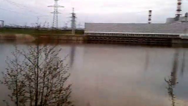 Захоронение дохлой рыбы по берегу Десногорского водохранилища. смотреть онлайн