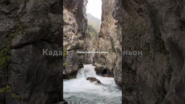 Кадаргаванский каньон река Фиагдон #горыкавказа #осетия #кавказ #поехаливгоры #владикавказ смотреть онлайн