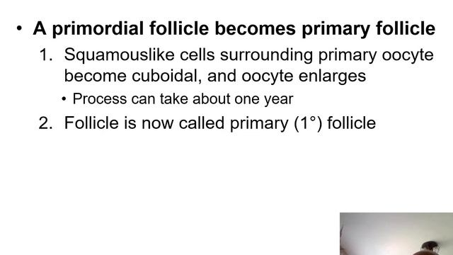 The Reproductive System Females смотреть онлайн