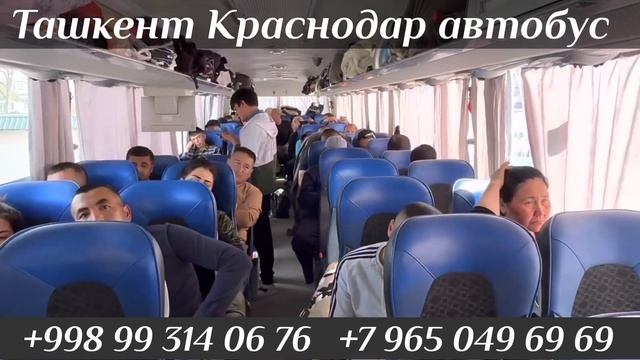 Ташкент Краснодар автобус Краснодар Ташкент автобус Ташкент Красноярск автобус Ташкент Москва смотреть онлайн