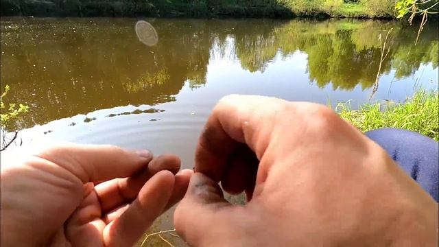 Рыбалка у дома на поплавок!Вечерний суперклев!Весна 2023 смотреть онлайн