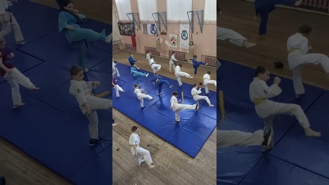 Тренировки по Кудо клуба Альфа-Кудо часть 29 смотреть онлайн