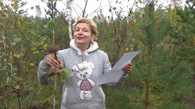 МЫ В ОСЕННЕМ ЛЕСУ смотреть онлайн