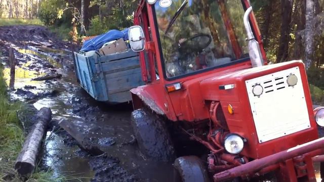 т25 гонгозеро смотреть онлайн