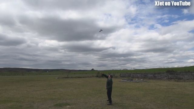 Ron's weird canard RC plane (version 2) смотреть онлайн