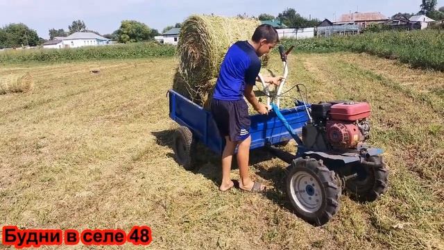 Заготовка сена, тюкование сена пресс- подборщиком трактор МТЗ-82. смотреть онлайн