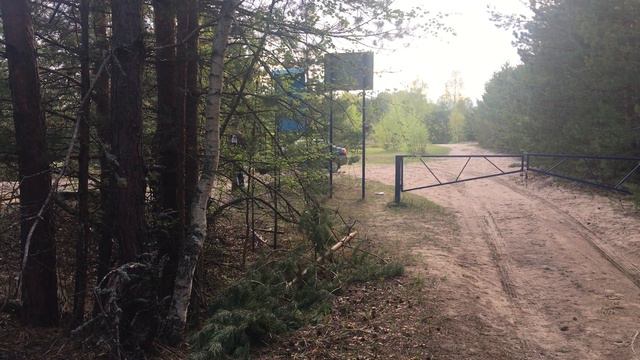 Керженский заповедник - рабочие моменты - 8 смотреть онлайн