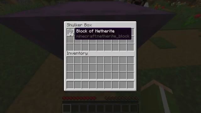 Minecraft Java 1.16.3 Multiplayer Any Item Dupe Glitch (Realms & Outdated Spigot) CURRENTLY WORKING смотреть онлайн